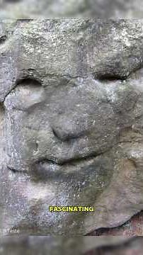 Mind-Blowing Rare Photos You Have to See to Believe!