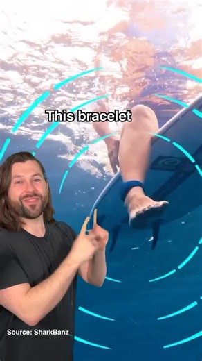 Sharkbanz on Instagram: "Sharks can sense you before you see them. @sambentley shows how our products create a magnetic field that disrupts a shark’s sensors, making close encounters uncomfortable so they swim away. In testing, bull sharks attacked a baited dummy every 42 seconds without Sharkbanz and not once when the bands were on. Backed by years of science, Sharkbanz help protect people and sharks alike."