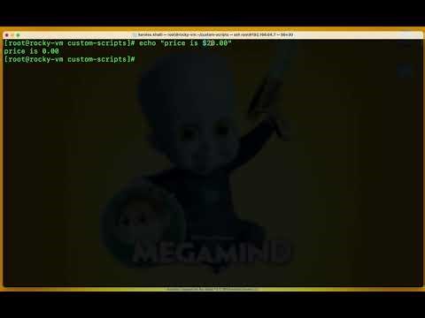 09- الفرق بين ال Globbing & Regex