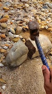 Crystal petrified wood #gemstones #agate #diamond #jade #petrifiedwood #fyp #fypreels | Rimba Story