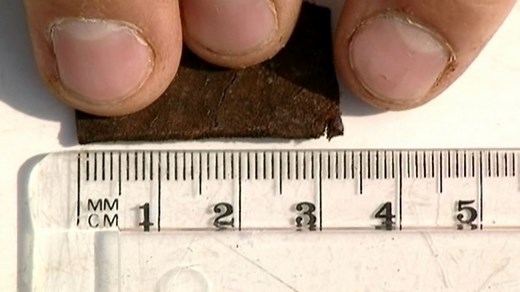 Measurement - rulers and thermometers - Measurement: Video playlist - BBC Bitesize