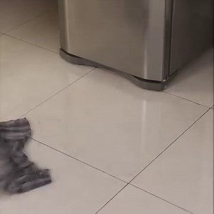 Mix mothballs into fabric softener and see what happens | Taste Delicious