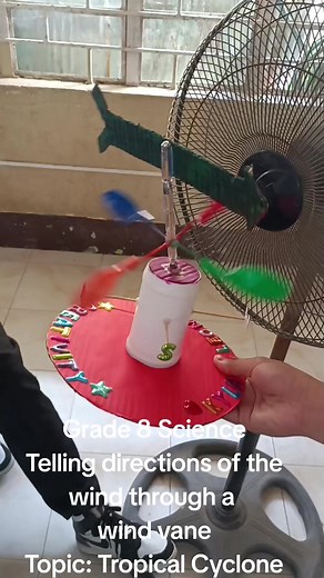 Grade 8 Wind Tunnel Experiments on Tropical Cyclones