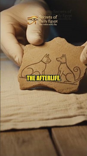 Ancient Egyptian Cats & Dogs Were Family, Not Just Pets! 🏺 #ancientegypt