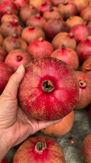 How to peel a Pomegranate ASMR 38 Subs to 14.5K