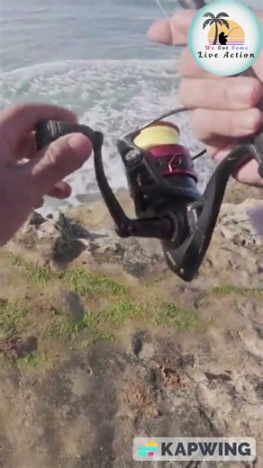 Double Hookup! Corbina and Perch CRUSH Lugworms at Terramar Point in Carlsbad, California #shorts