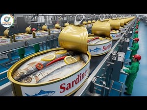 Inside the Canned Sardine Factory | From the Sea to Your Table (Full Process Tour)