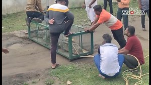 14 reactions | A 12-foot crocodile was rescued. A 12-foot #crocodile...