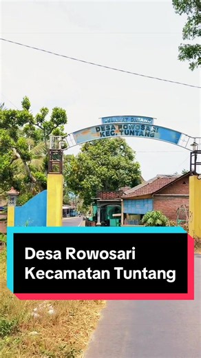 Desa Rowosari Kecamatan Tuntang: Jalan-jalan & Pemandangan Gunung Telomoyo