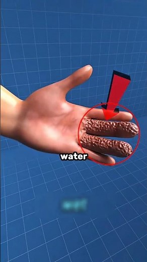 The Real Reason Your Fingers Get Wrinkly in Water (Most People Have It Wrong)