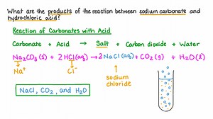 Determining the Products Formed from the Reaction between Sodium Carbonate and Hydrochloric Acid