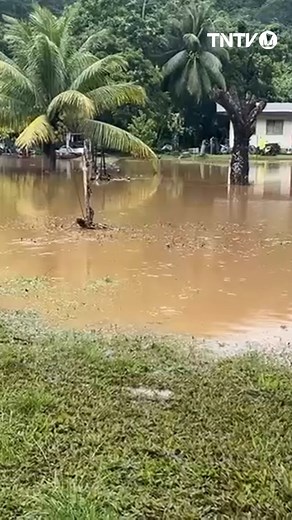 👀 Les pieds dans l'eau 💧💦Quelques images de l'île de Raiatea ce samedi matin... 🌧️ Les Raromatai sont en vigilance jaune pour la pluie et les orages. 👉🏽Lire ici : https://www.tntvnews.pf/polynesie/tntv_news_une/raiatea-debordements-de-riviere-logements-touches-et-inquietude-face-aux-fortes-pluies/ 📹 Jessica Doucet / Tahiti Nui télévision | TNTV News