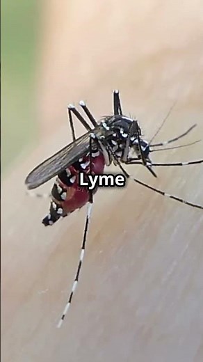 Vector-Borne Diseases: The Invisible Threat #pencis #researchers #scientist #doctor #infection