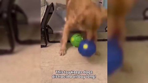 HOOBRO Jewelry Box with Mirror, Wooden Jewelry Organizer Box with Side Clear Acrylic Panel, Large Jewelry Case for Earrings, Necklaces, Rings, Watches, Walnut BH22JB04