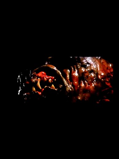 This scene cracked me up lol Film: Prophecy (1979) #horror #funny #fyp