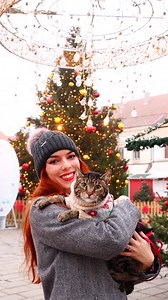 Every little moment like this counts! 🥹❤️😸 . How do you like to spend time with your furbabies the most? 🩵🐾 #kitties #littlemoments #catmom #adventurecat #liamtheeverydaycat | Liam The Everyday Cat