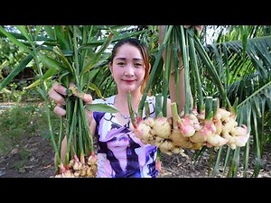 Yummy Ginger Leaves Cooking Pig Kidney - Ginger Leaves Stir Fry - Cooking With Sros