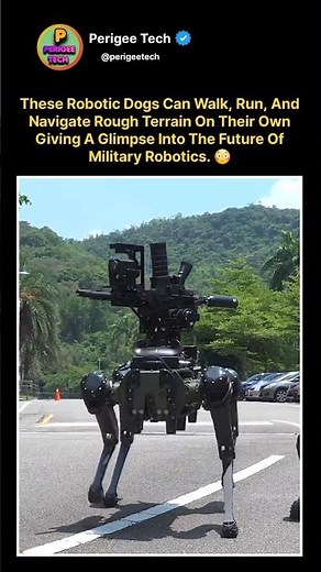 Meet the Military Robot Dogs of the Future 😳🐺