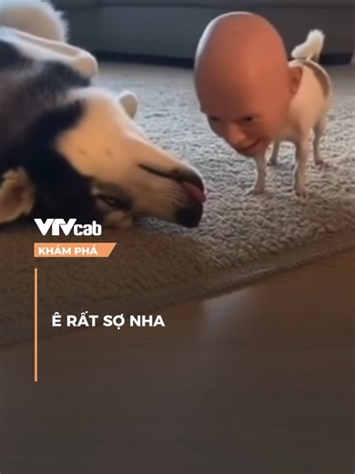 Ê RẤT SỢ NHA #khampha #vtvcabkhampha #online #SportOnTikTok #SEAGame2025 #vtvcab #dtp