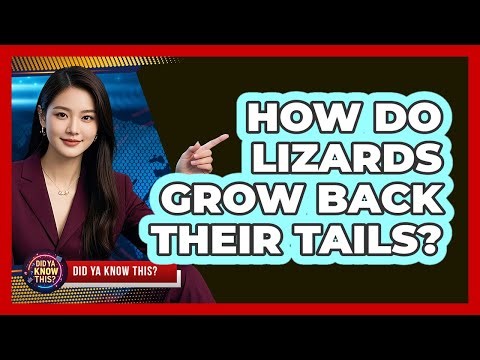 How Do Lizards Grow Back Their Tails?
