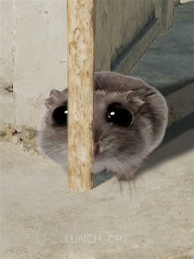 Delta Force: Hawk Ops Overview