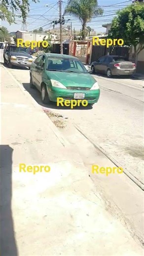 se Yego el día de su repro en dino