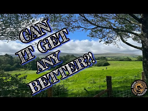 Sensational Day Metal Detecting: Discovering a Hidden Hoard & rare coins!
