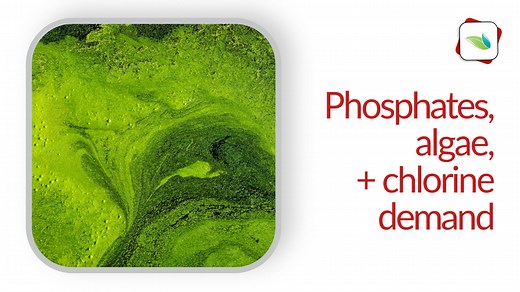 Phosphates, Algae, and Chlorine Demand