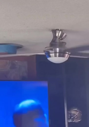 Candid Conversation Between Two Unique Individuals