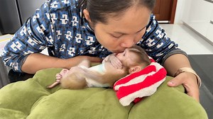 Mom So Affectionate Baby Katy Very Calmly Gesture After Milking | Monkey Daily