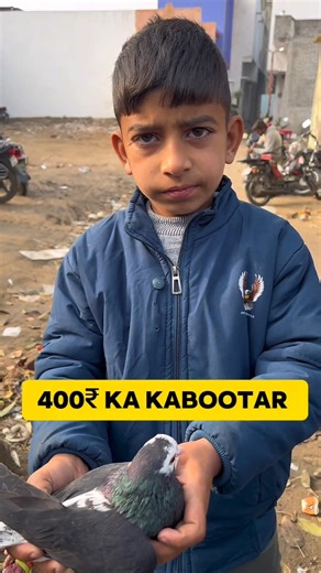 400₹ Ka Kabootar 😍 #minivlog #ytshorts #viralshorts #dailyvlog #kabootar #shorts