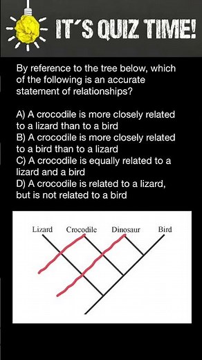 Phylogenetic tree quiz
