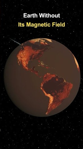 What Would Earth Look Like Without These?