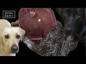 【ASMR 犬おやつ】猪レバージャーキーをフードドライヤーで簡単手作り！