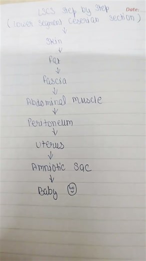 # lscs cut the layer explain 🥰😘🥰