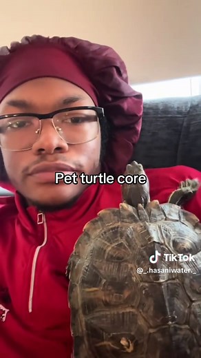 Caring for Your Pet Turtle: Essential Tips and Tricks