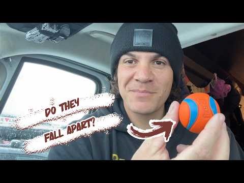 Chuckit! Ultra Ball Review | Durable, Bouncy & Built for Fetch