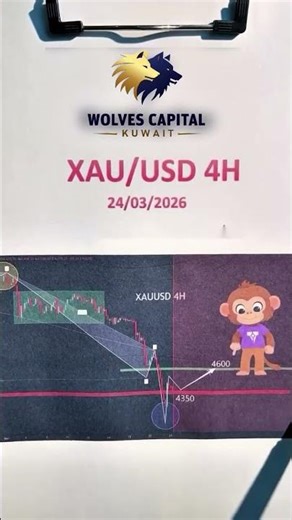 XAUUSD Setup Loading After Liquidity Grab #xauusd #gold #forextrading #tradingstrategy