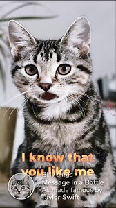 4.6K reactions · 1.7K shares | Make a Music Video of Your Pet | Pet Parade | Facebook