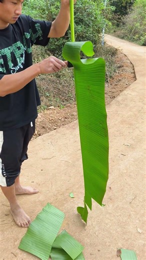 The seemingly insignificant banana leaves have many practical uses. #manual #industrious