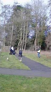 Testing a T-Sport Scote 48350 mobility scooter's acceleration & braking #testdrive #mobilityscooter