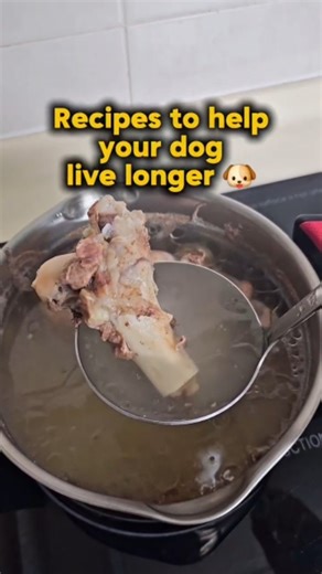 Nadia & Reggie | Mom & Dog Adventures on Instagram: "🐶 Easy bone broth for dogs recipe 🦴 ✨️ Ingredients: - Bones (Chicken, beef or lamb) - Apple cider vinegar - Filtered water 👩‍🍳 Instructions: 1. Use any bones (chicken, beef or lamb) 2. Put them in a pot and add enough filtered water the cover the bones 3. Add apple cider vinegar ( 1 tablespoon for every gallon of water). The vinegar helps to pull the minerals from the bones into the broth. 4. Bring the pot to a boil, then lower the heat to