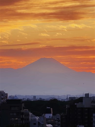 Alexandre Champagne on Reels