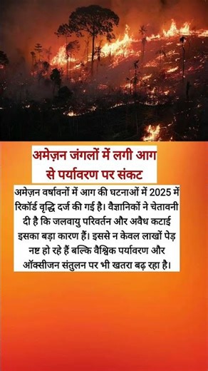 Amazon Fires Hit Record Levels, Threaten Global Climate