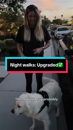 The easiest way to make walking your dog at night safer✅ #dogwalk #dogsafety #dogtok #goldenretriever #dogharness