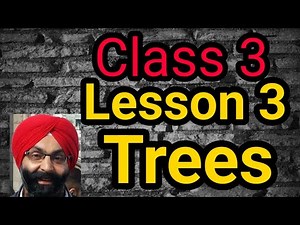 Class 3, English, Lesson 3, Trees