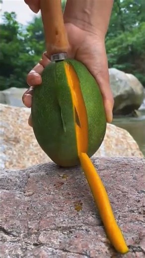 Green mango ripeness testing process