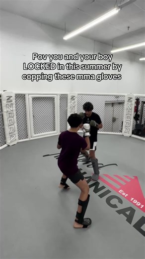 Get Ready for MMA This Summer with the Best Gloves