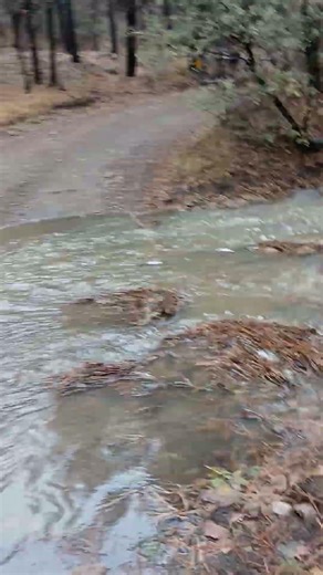 Video of Cherry Creek Campground, NM from Vidalia S.