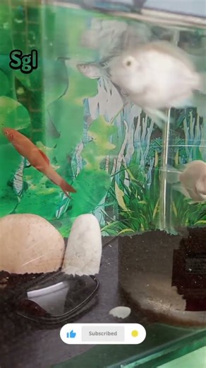 prayers for viewers #quotes #motivation #prayer